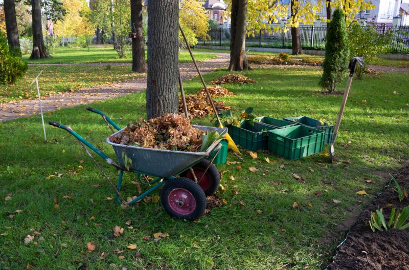 Property Line Clearing in Salt Lake City, UT